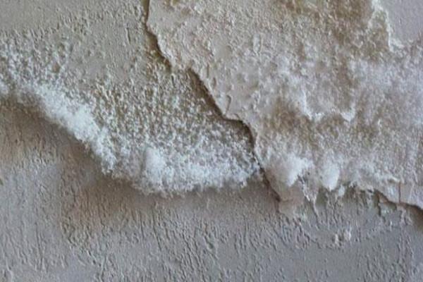 formación de salitre en muro